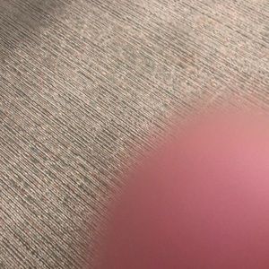 Meet your Posher, Tony